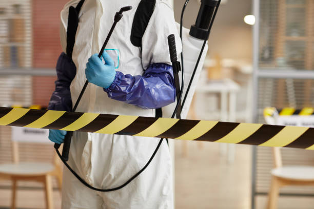 Professional Hoarding Cleanup technician working in Mountain View, NC
